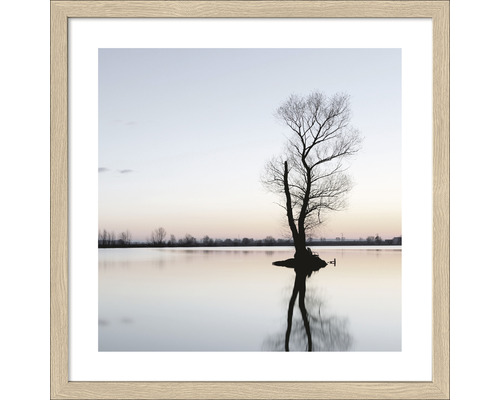 Image encadrée Tree in a lake 33x33 cm