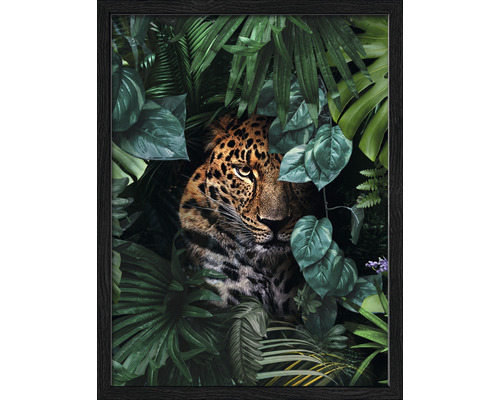 Image encadrée Jaguar in jungle 33x43 cm
