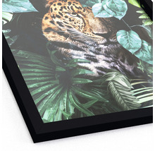 Gerahmtes Bild Jaguar in jungle 33x43 cm