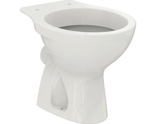 WC à poser Ideal Standard Eurovit cuvette à fond creux avec bride de rinçage blanc sans abattant WC W333101-0