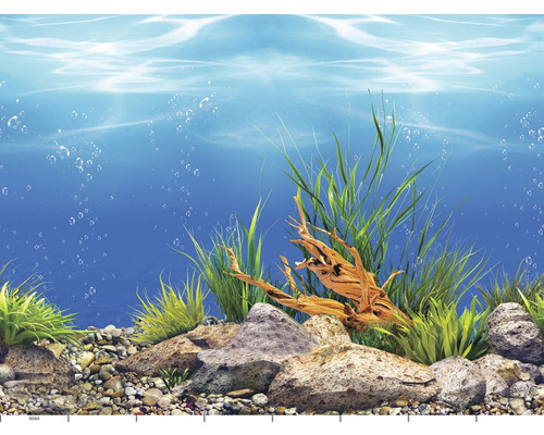 Arrière-plan d''aquarium avec motifs sous-marins et plantes