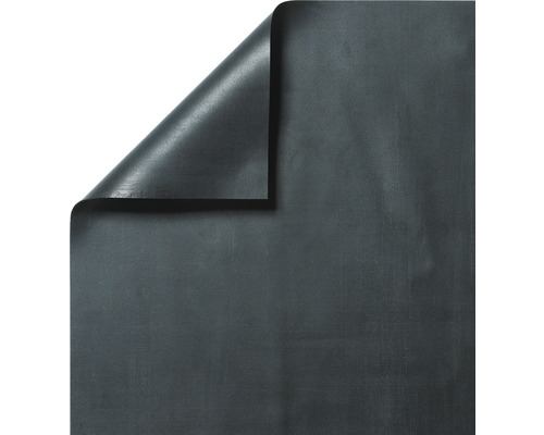 Bâche pour bassin EPDM 1 mm 10 x 6 m noir