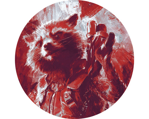 Papier peint panoramique autocollant DD1-052 Dot Avengers Painting Rocket Raccoon Ø 125 cm