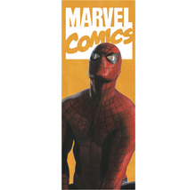 Fototapete Vlies IADX2-070 Into Adventure Spider-Man Comic 2-tlg. 100 x 250 cm