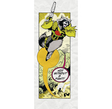 Fototapete Vlies IADX2-072 Into Adventure Guardians Retro Comic Raccoon 2-tlg. 100 x 250 cm