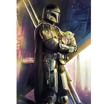 Papier peint panoramique intissé IADX4-019 Into Adventure Mandalorian Savior 4 pces 200 x 280 cm