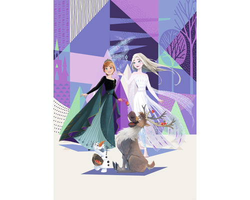 Papier peint panoramique intissé IADX4-059 Into Adventure Disney Frozen Abstract Arendelle 4 pces 200 x 280 cm