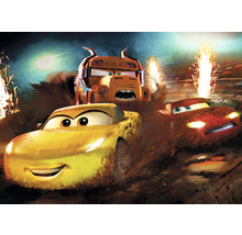 Gemälde mit Charakteren aus dem Film Cars, die an einem Demolition Derby teilnehmen