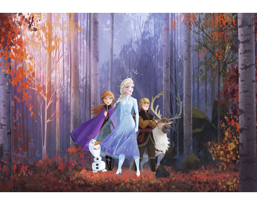 Papier peint panoramique intissé IADX8-005 Into Adventure Disney Frozen Autumn Glade 8 pces 400 x 280 cm