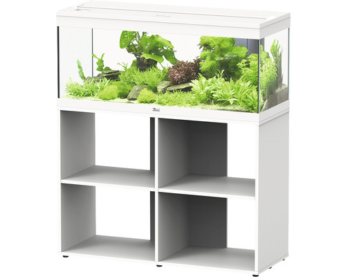 Kit complet d'aquarium aquatlantis Prestige 100 armoire ouverte blanc Aquarium avec plantes et poissons sur un meuble bas avec étagères