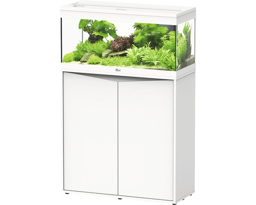 Kit complet d'aquarium aquatlantis Prestige 80 armoire fermée blanc Aquarium blanc avec meuble bas et plantes