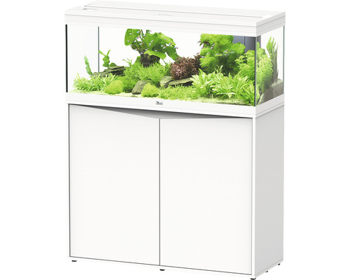 Kit complet d'aquarium aquatlantis Prestige 100 armoire fermée blanc Aquarium blanc avec meuble bas et plantes