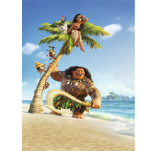 Papier peint panoramique intissé XXL2-801 Into Adventure Moana and Maui 2 pces 184 x 248 cm