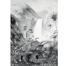 Fototapete Vlies IAX4-0020 Into Adventure Jurassic Waterfall 4-tlg. 200 x 280 cm