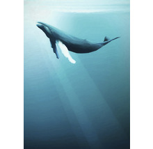 Illustration eines Wals unter Wasser