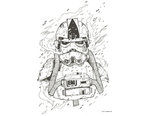 Poster Star Wars Pilot Drawing 30x40 cm