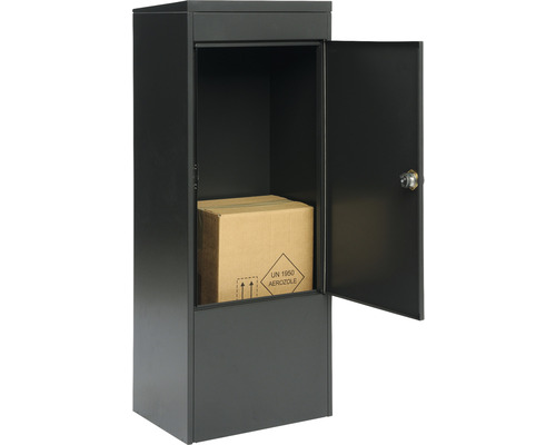 Boîte à colis avec porte ouverte et colis