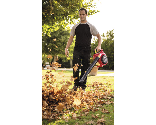 Mann verwendet Laubbläser im Garten, um Laub zu entfernen.