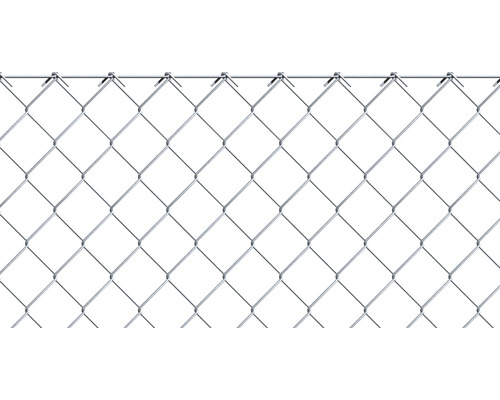 Fil de fer pour clôture ALBERTS maillage 50 mm type 2,2 , 25 x 0,8 m argent Clôture en grillage métallique
