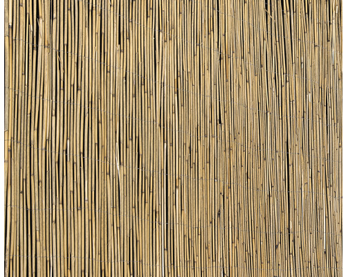 Sichtschutzmatte Schilfrohr 600 x 100 cm Bambusmatte als Sichtschutz