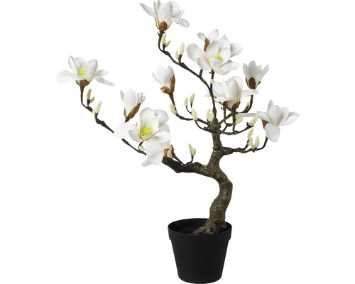 Plante artificielle magnolia h 71 cm blanc