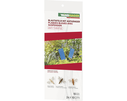 Plaquettes bleues avec suspension Windhager 10 pces env. 24 x 10 cm contre les thrips, sans insecticide, inodore