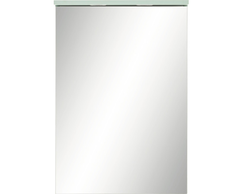 Armoire de toilette Möbelpartner Spot 50,4 x 23,7 x 72,3 cm vert menthe 1 porte led