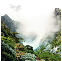 Berglandschaft mit Nebel und Vegetation