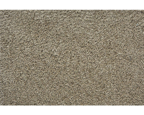 Moquette velours frisé Banwell beige FB72 largeur 400 cm (au mètre)