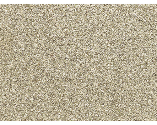 Teppichboden Shaggy Lester beige FB35 500 cm breit (Meterware) Nahaufnahme einer Putzoberfläche für den Innenbereich
