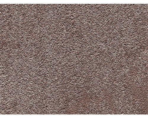 Teppichboden Shaggy Lester pink FB63 400 cm breit (Meterware) Nahaufnahme einer Fassade mit Putzstruktur
