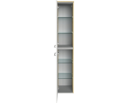 Armoire de salle de bain ouverte avec étagères en verre