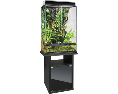 Ensemble terrarium EXO TERRA avec Compact-Top, meuble bas 60 x 45 x 170,5 cm noir