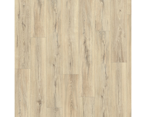 Laminat 8.0 Chester Eiche beige Laminat 8.0 Chester Eiche beige
