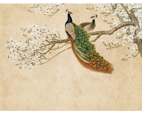 Papier peint panoramique intissé 38236-1 The Wall fleurs de cerisier et paon style asiatique 7 pces 371 x 280 cm