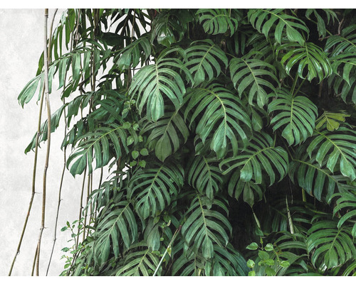 Fototapete Vlies 38241-1 The Wall Monstera 3D 7-tlg. 371 x 280 cm