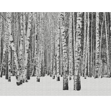 Fototapete Vlies 38259-1 The Wall Birkenwald im Schnee 7-tlg. 371 x 280 cm