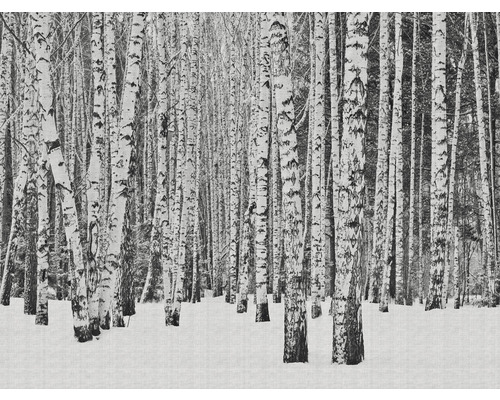 Papier peint panoramique intissé 38259-1 The Wall forêt de bouleaux sous la neige 7 pces 371 x 280 cm