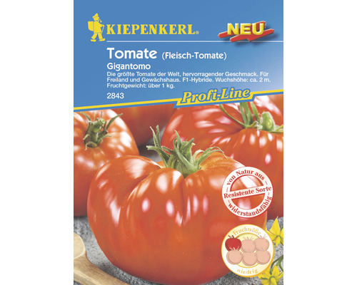 Graines de tomate charnue Gigantomo F1 Kiepenkerl