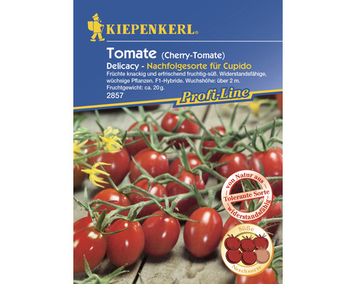 Graines de tomates cerises Delicacy, F1 Kiepenkerl