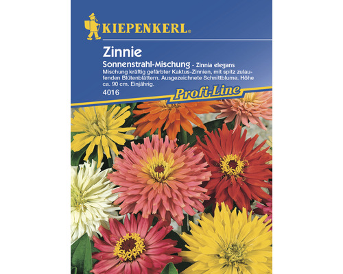 Graines de fleurs Kiepenkerl zinnia 'Mélange rayon de soleil'