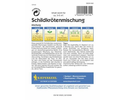 elefantenfuß künstlich Elefantenfuss | Beaucarnea recurvata main image 1