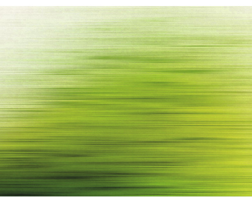 Papier peint panoramique intissé 38261-1 The Wall dégradé de couleurs vert 7 pces 371 x 280 cm