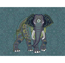 Papier peint panoramique intissé 38262-1 The Wall éléphant mandala style indien 7 pces 371 x 280 cm