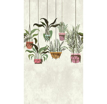 Illustration de plantes d''intérieur suspendues dans des pots décoratifs