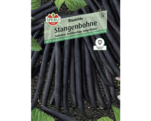 Stangenbohnen 'Blauhilde' Sperli Gemüsesamen
