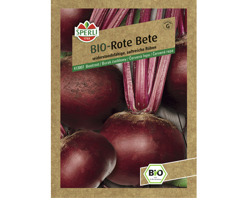 Betterave rouge Rote Kugel 2/Sturoman Sperli semences hybrides graines de légumes Sachet de graines de betteraves rouges biologiques de Sperli