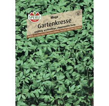 Sperli Gartenkresse Mega Samenpackung