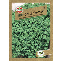 Kresse Gartenkresse Sperli Bio Kräutersamen