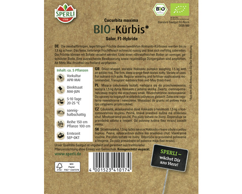 Samenpackung Bio Hokkaido Kürbis Solor F1-Hybride